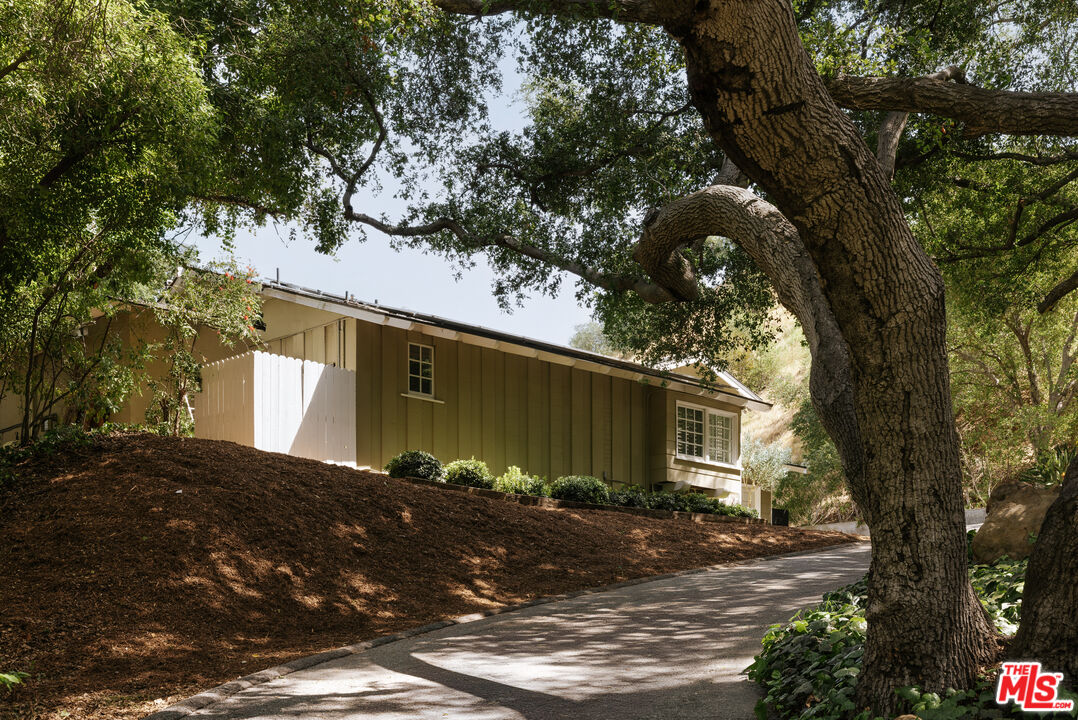 Mature oaks beside the home, 16822 Escalon Dr