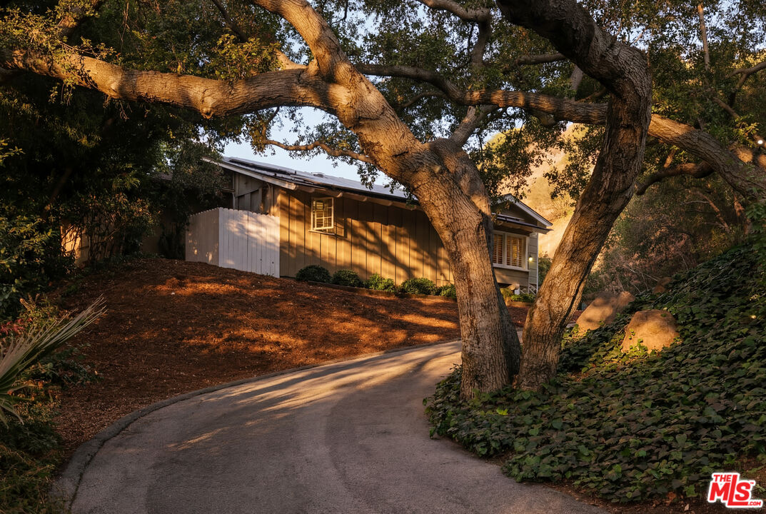 Oak-lined private road, 16822 Escalon Dr
